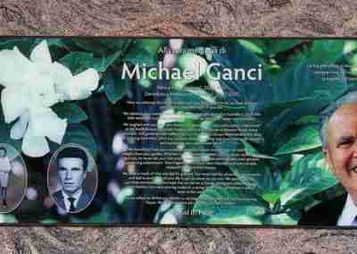 wide photo plaque