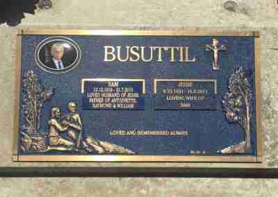 dual plaque
